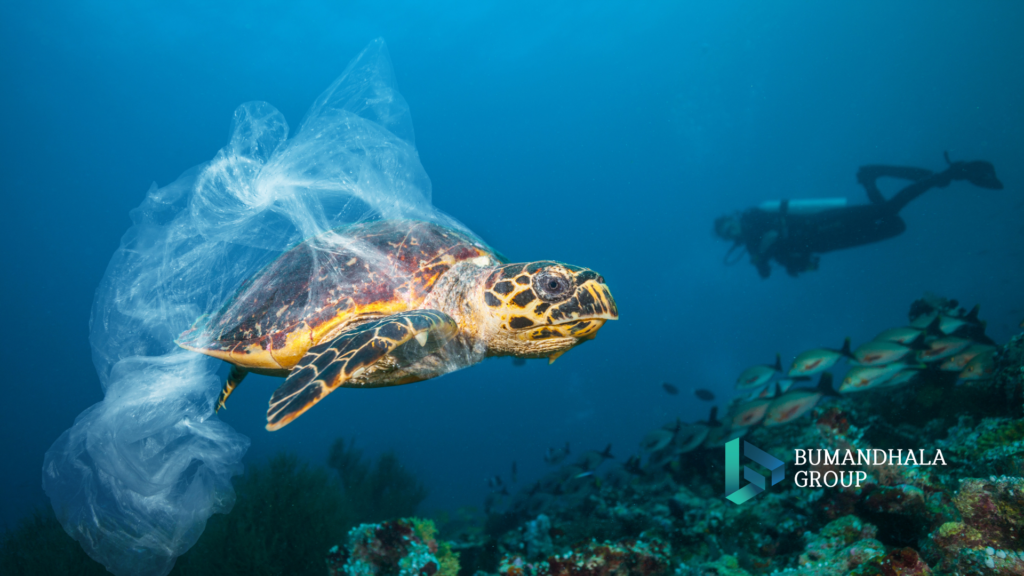 plastic waste